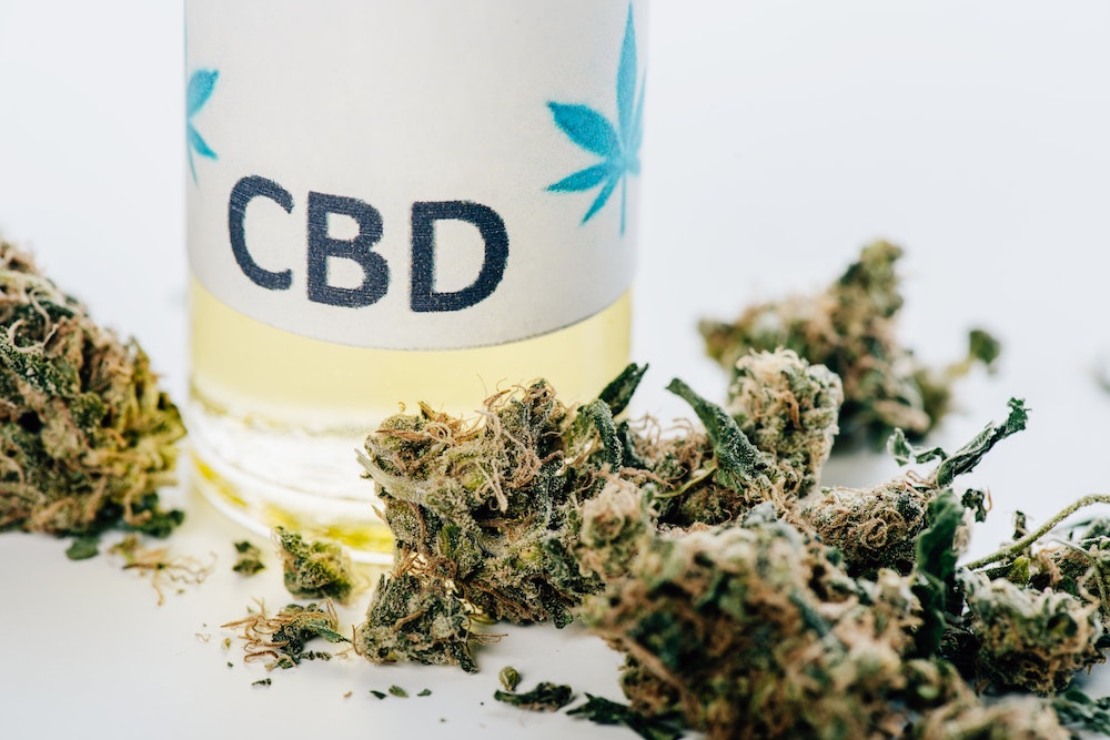 Les défis et opportunités pour les startups dans l'industrie du CBD