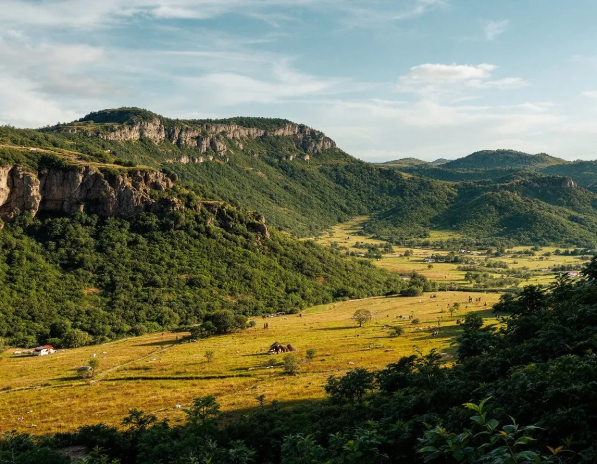 La biodiversité en péril : le lourd tribut de nos choix économiques
