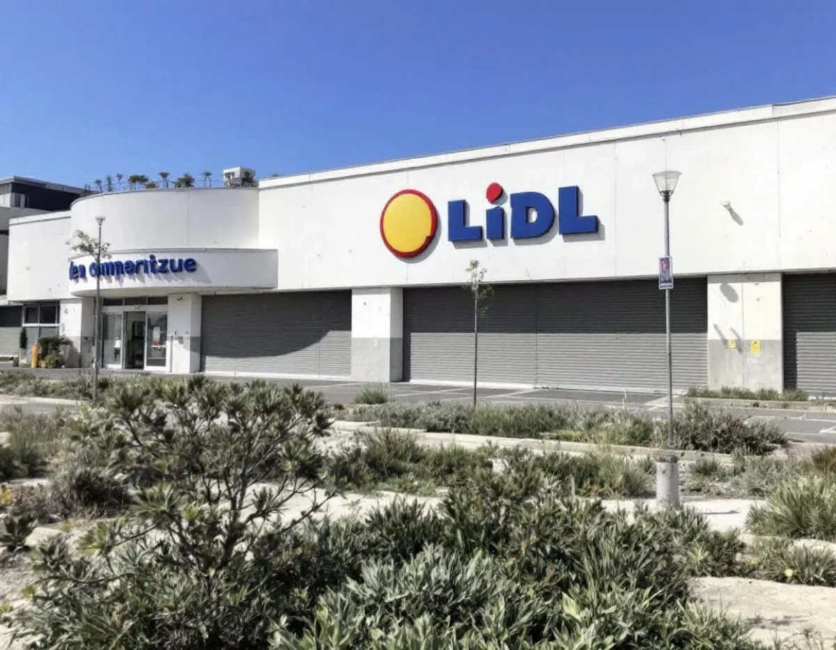 Lidl en Corse : Décryptage de l'Absence de l'Enseigne sur l'Île
